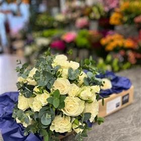 fwthumb4b92ce87-be01-44f1-82df-407cae429aa3.jpg