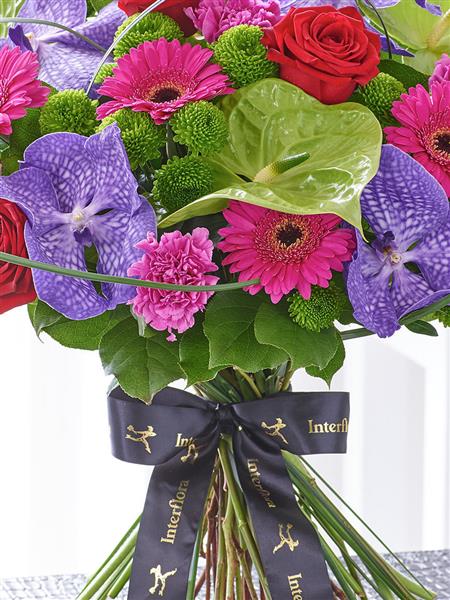 Luxury Vanda Orchid & Anthurium Hand-tied with Chocolates